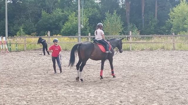 первые встречи с лошадьми смотреть онлайн