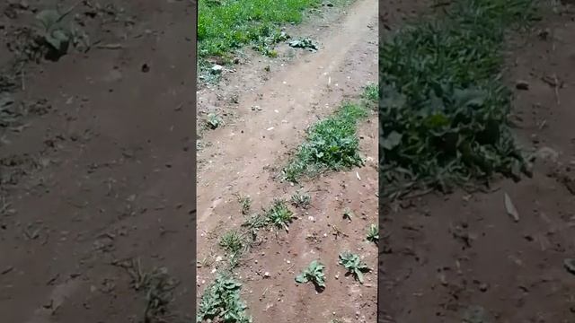 5 сезон 1 серия улица смотреть онлайн