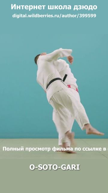 60Интернет школа дзюдо.Отхват. O-SOTO-GARI.