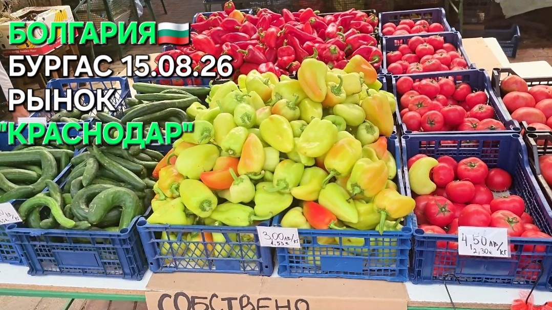 Жизнь в Болгарии | Долгожданный поход на Центральный продуктовый рынок Бургаса👀 смотреть онлайн