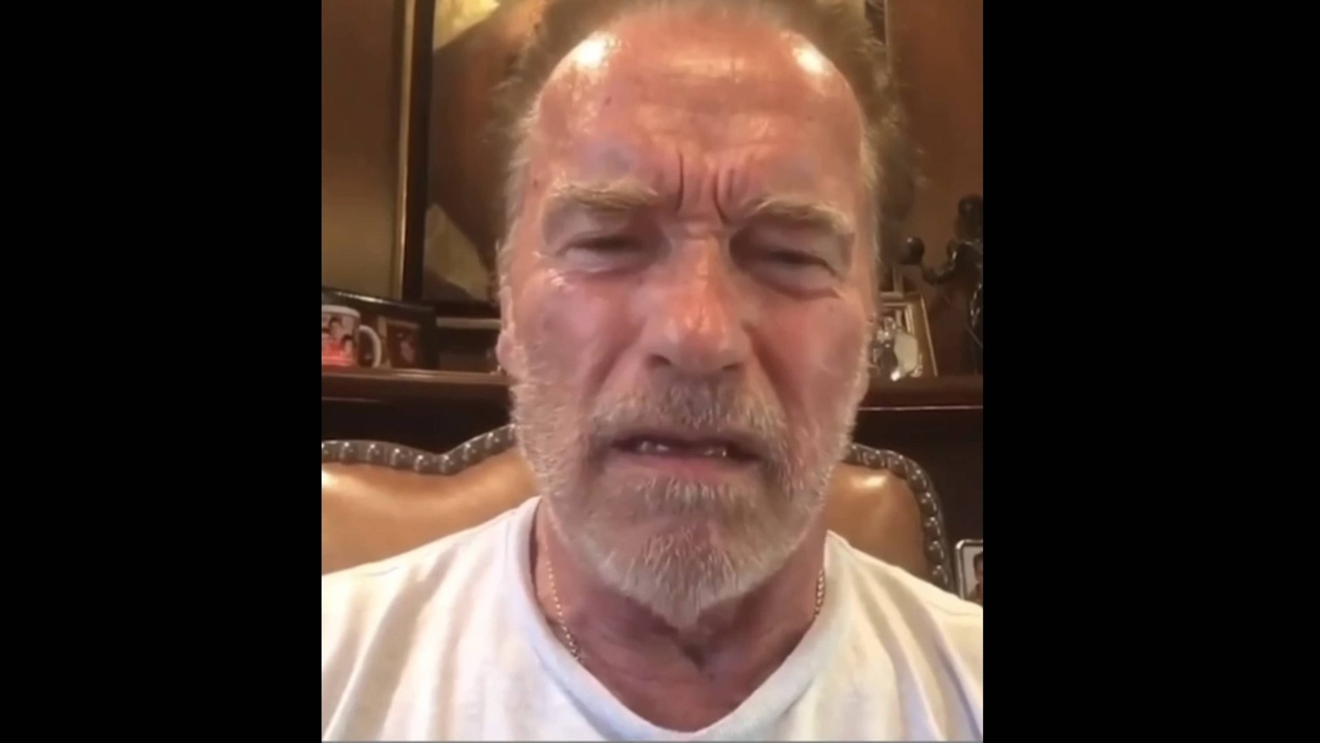 АРНОЛЬД ШВАРЦЕНЕГГЕР, ТЫ МНЕ ЕЩЕ ЗА ПРОШЛЫЙ БАЗАР НЕ ОТВЕТИЛ : военкор Марьяна Наумова смотреть онлайн