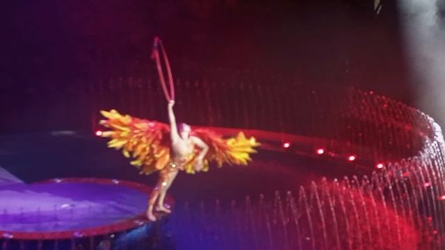 летающая жарптица смотреть онлайн