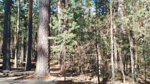 РОЛЬ ПРОФСОЮЗА В РАБОТЕ ПО НАЙМУ.