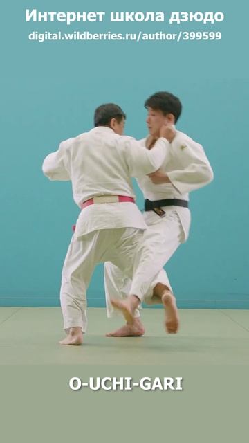 64Интернет школа дзюдо.Зацепа изнутри.O-UCHI-GARI.
