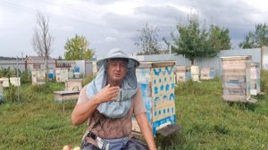 Какого чёрта он наставил столько магазинов... Мёда он получит с гулькин нос