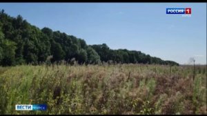 Апти Алаудинов "АХМАТ". Репортаж о группе "Аида" СпН "АХМАТ" МО РФ