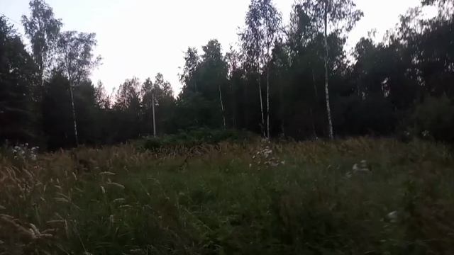 Ловушки продолжают радовать смотреть онлайн