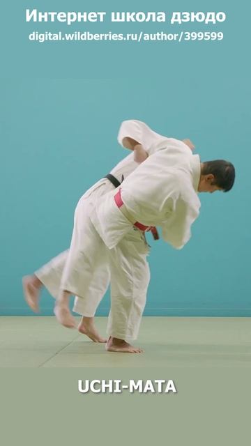 67Интернет школа дзюдо.Подхват изнутри.UCHI-MATA