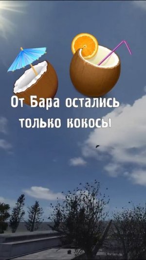 Маленький сталкер мину нашёл...