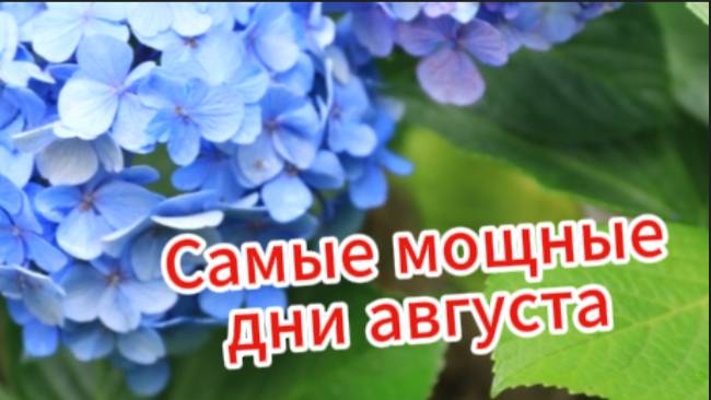 Самые мощные дни августа 2025 года! смотреть онлайн