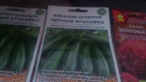 кабачок-цукини и салат