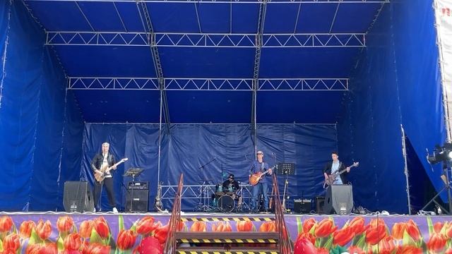 Лесник Frozen Curls