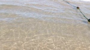 video_2025-08-17_19-16-52 (5)