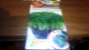 Отчёт по семенам за 2021 г.