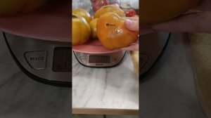 томат  Гном улуру охра