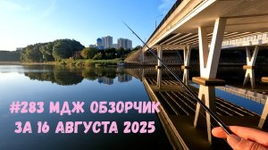 #283 Микроджиг обзор за 16 августа 2025