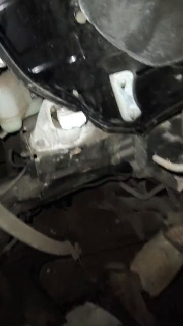 Каршеринг 🚗 Почему все его используют? #автомобили #каршеринг #карши #арендаавто #дтп смотреть онлайн