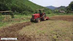 София 35. София готовит участок земли к посадке овощей.