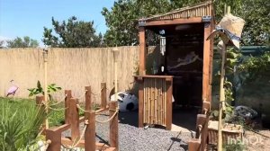 Прогулка по сада 2025 🥰Мое последнее видео.