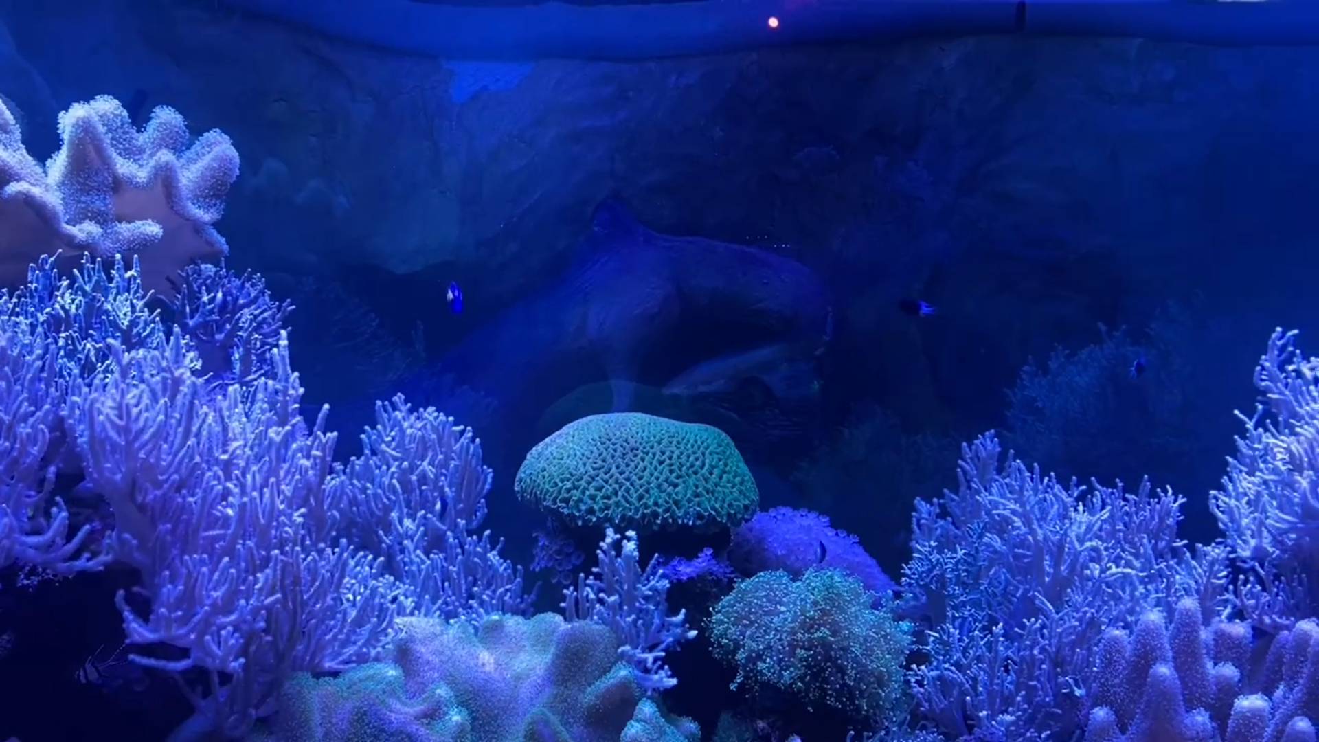 Alexandr Khanenko - Ocean (Original Mix)