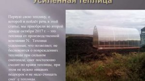 Какую теплицу выбрать на Урожайный сезон 2021