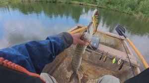 "ПУЗАНОВ ЛОВИТ"