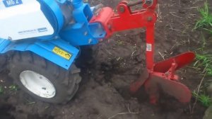 Сажаем витаминную  фасоль журавушка