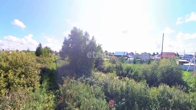 9556310 смотреть онлайн