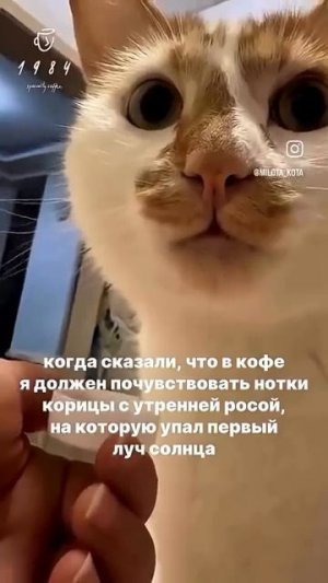 Когда сказали, что в кофе..