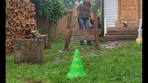 щенок немецкой овчарки 6,5 месяцев