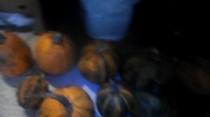 Наши супертыквы