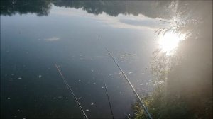 Рыбалка на Дону, в районе понтонного моста, мкр. Малышево, 17.08.2025 года