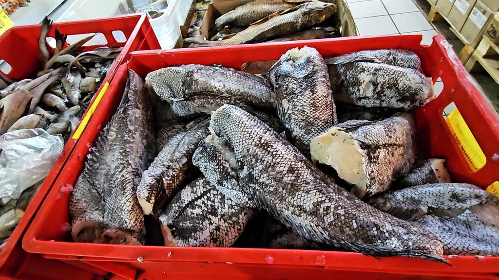 Находки недели в Светофоре.Интересные новинки уже на полочках смотреть онлайн