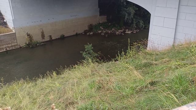 Прогулка по Томску с сыном и внучкой. Зачислена на бюджетной основе в колледж часть третья смотреть онлайн