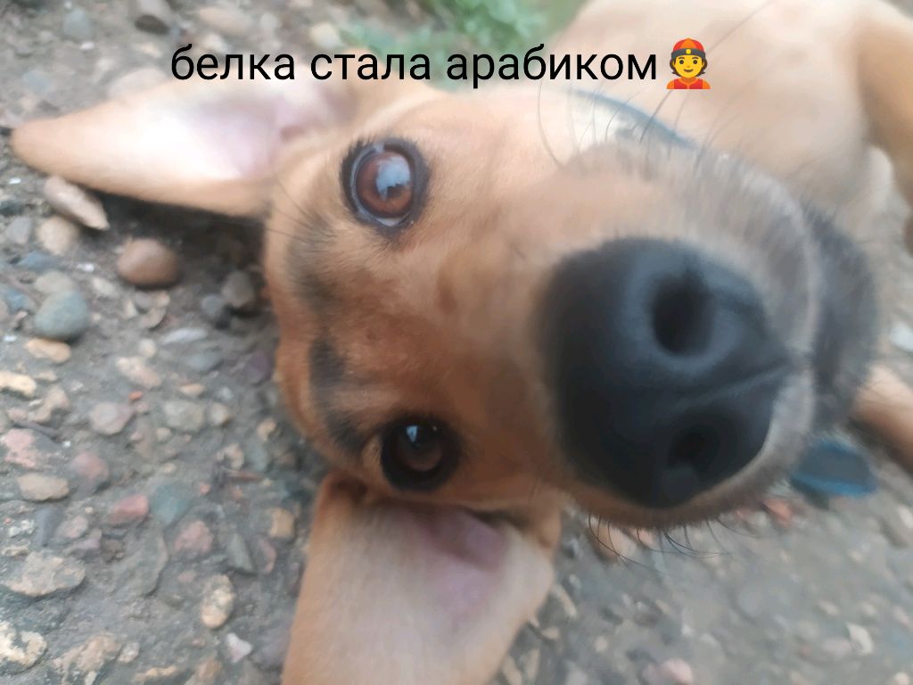Я открываю масочку быстрее заходи ко мне смотреть онлайн