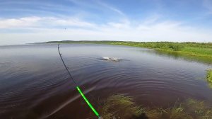 ТРОФЕЙНАЯ РЫБАЛКА. ЧАСТЬ ВТОРАЯ.