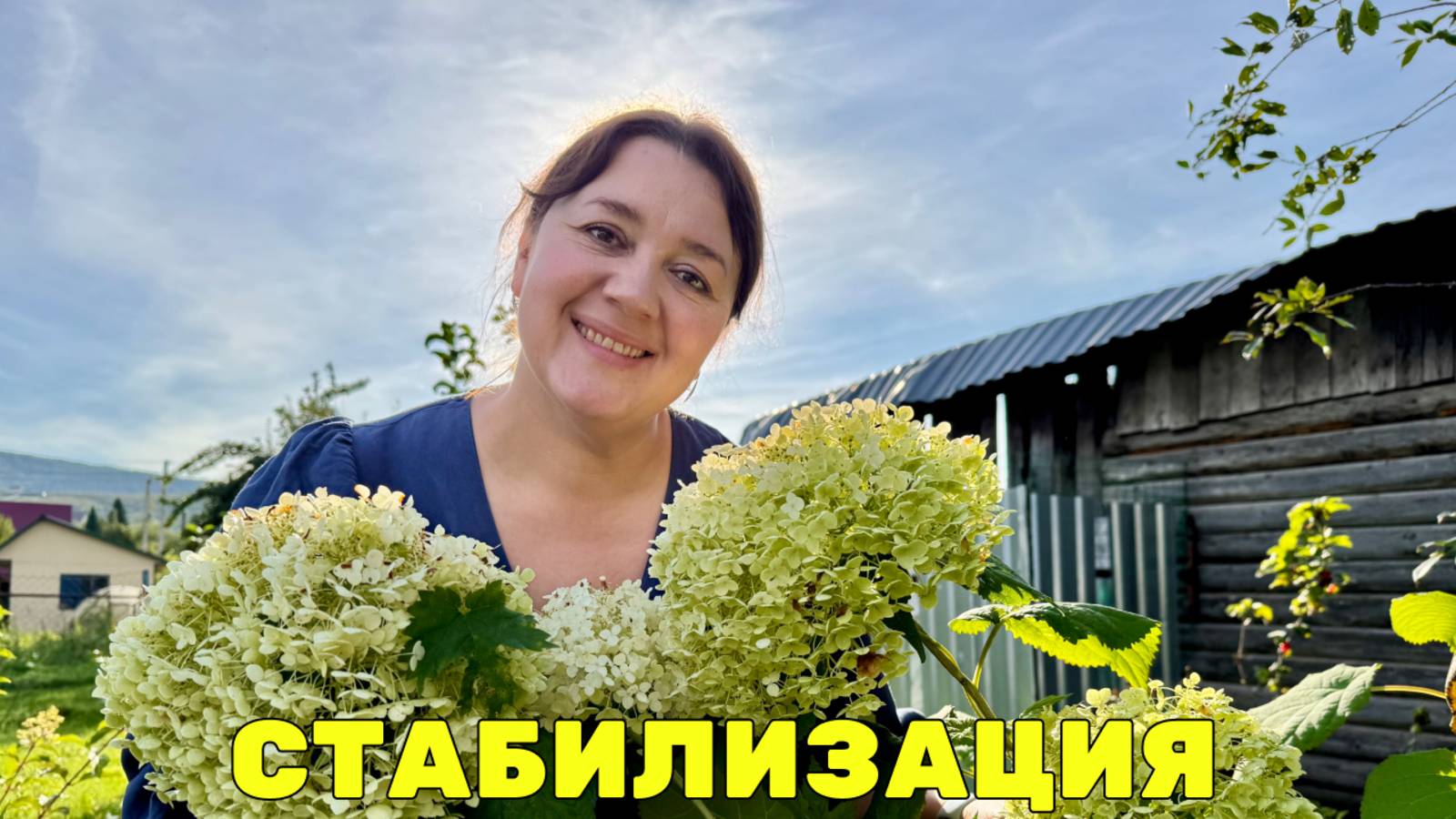 🌷Стабилизация садовой гортензии - Эксперимент 2025 смотреть онлайн