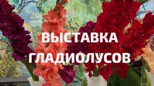 Выставка гладиолусов - 2025