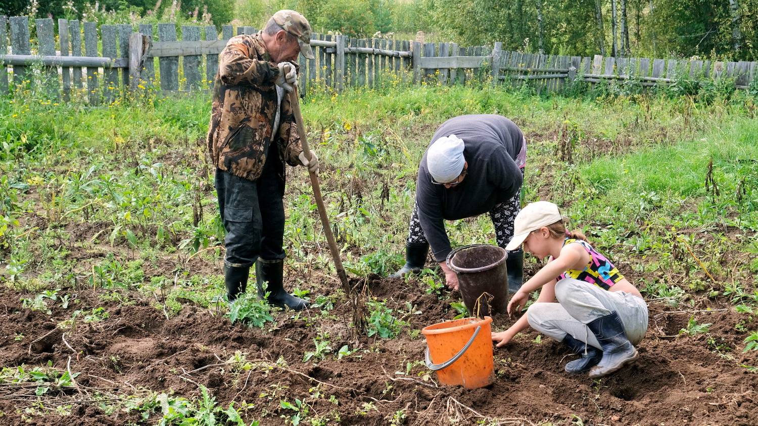 Велопргулка по деревне ЧИРКИ смотреть онлайн