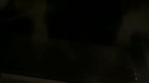 Где взять семена горького перца почти бесплатно.