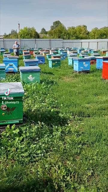 🐝🐝🐝🐝🐝 смотреть онлайн