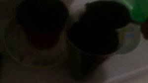 Экспресс способ посадки горького перца