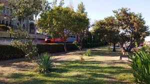 video_2025-08-17_19-16-52