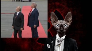 Сводки с фронтОв с Котом Костяном от 17.08.25