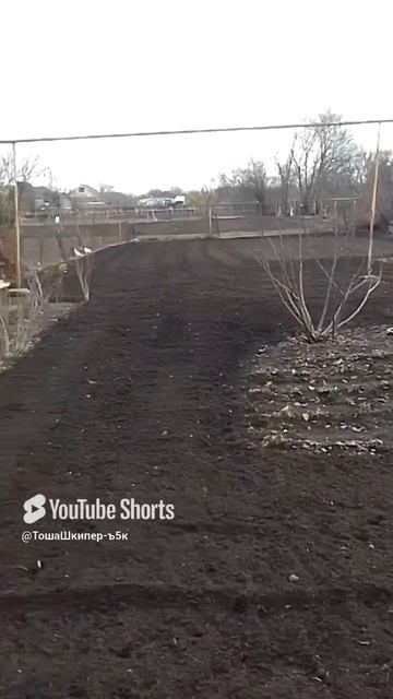 17 декабря 2024 г..mp4 смотреть онлайн