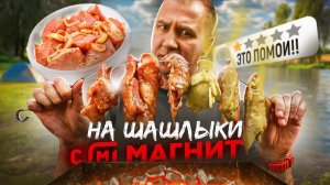 ЖРИЧЁДАЛИ | НА шашлыки с МАГНИТ! 🤬🤬🤬 РоднОЙ АТЯШЕВО (2025)