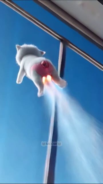 😂🚬🔥Котенок курит в первый раз 🐾💥#анимация #суперкоты #веселыекоты #коты