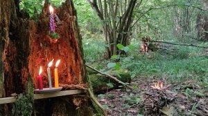 помощь в исцелении болезни века-онкологии ,чистка от негатива