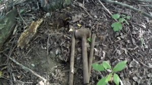 Металлокоп ⚙ Выезд за металлом в лесополосу