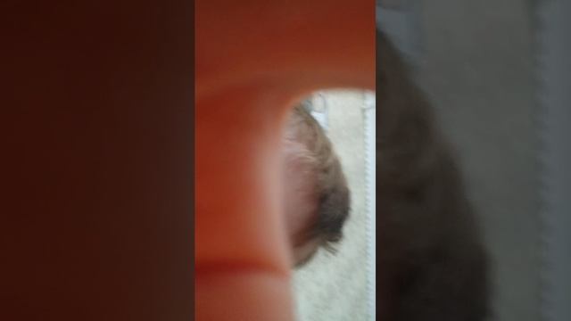 Вырасти сад